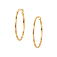 Aretes Parsi